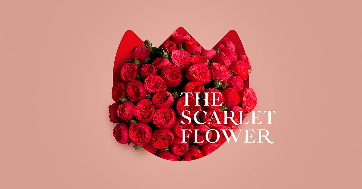 Wrapped Bouquets – THE SCARLET FLOWER
