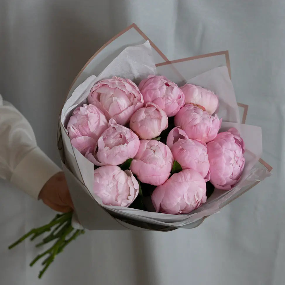 Pecher Peony same day delivery pink peonies fresh cut bouquet