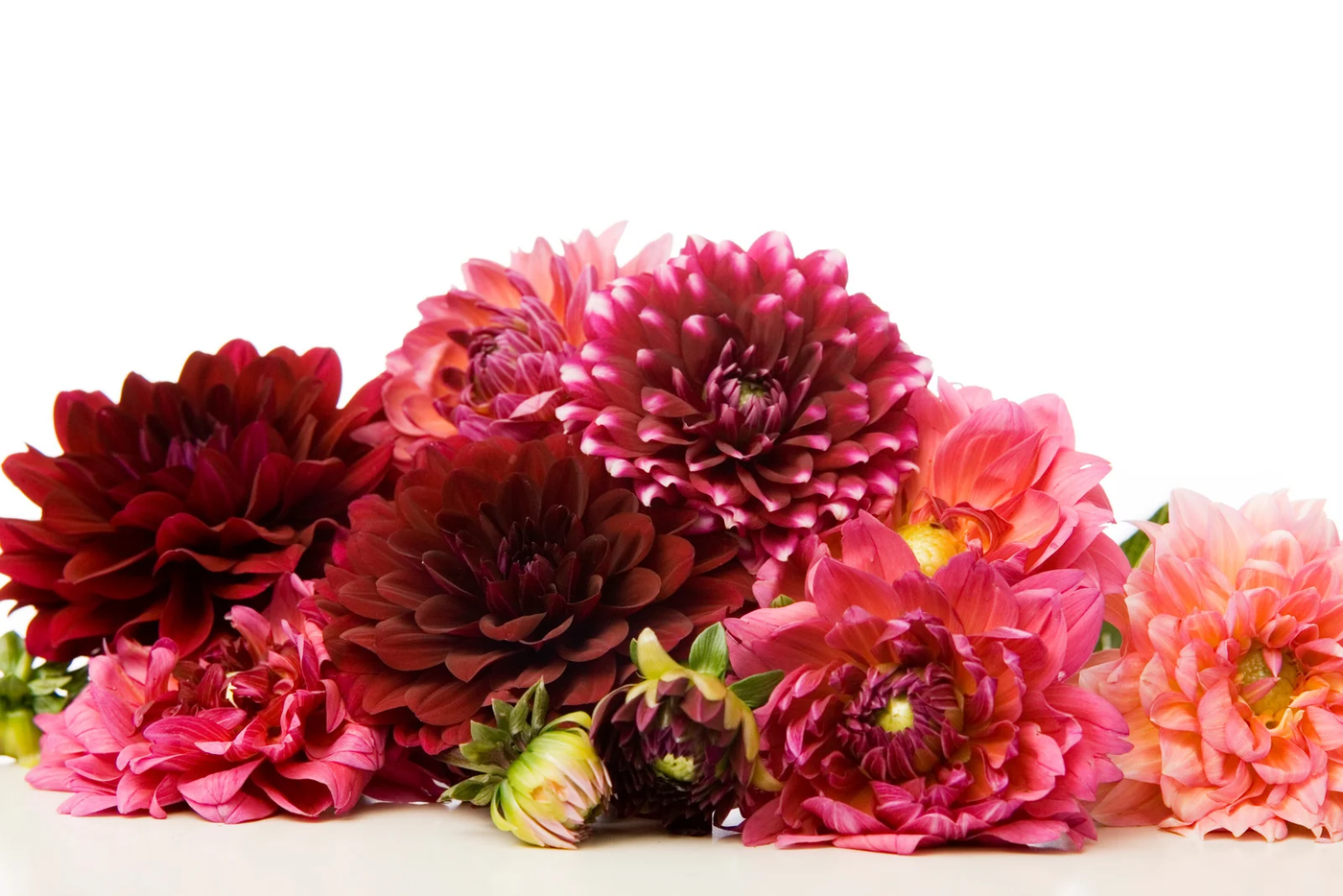 Dahlias Flower Bouquet