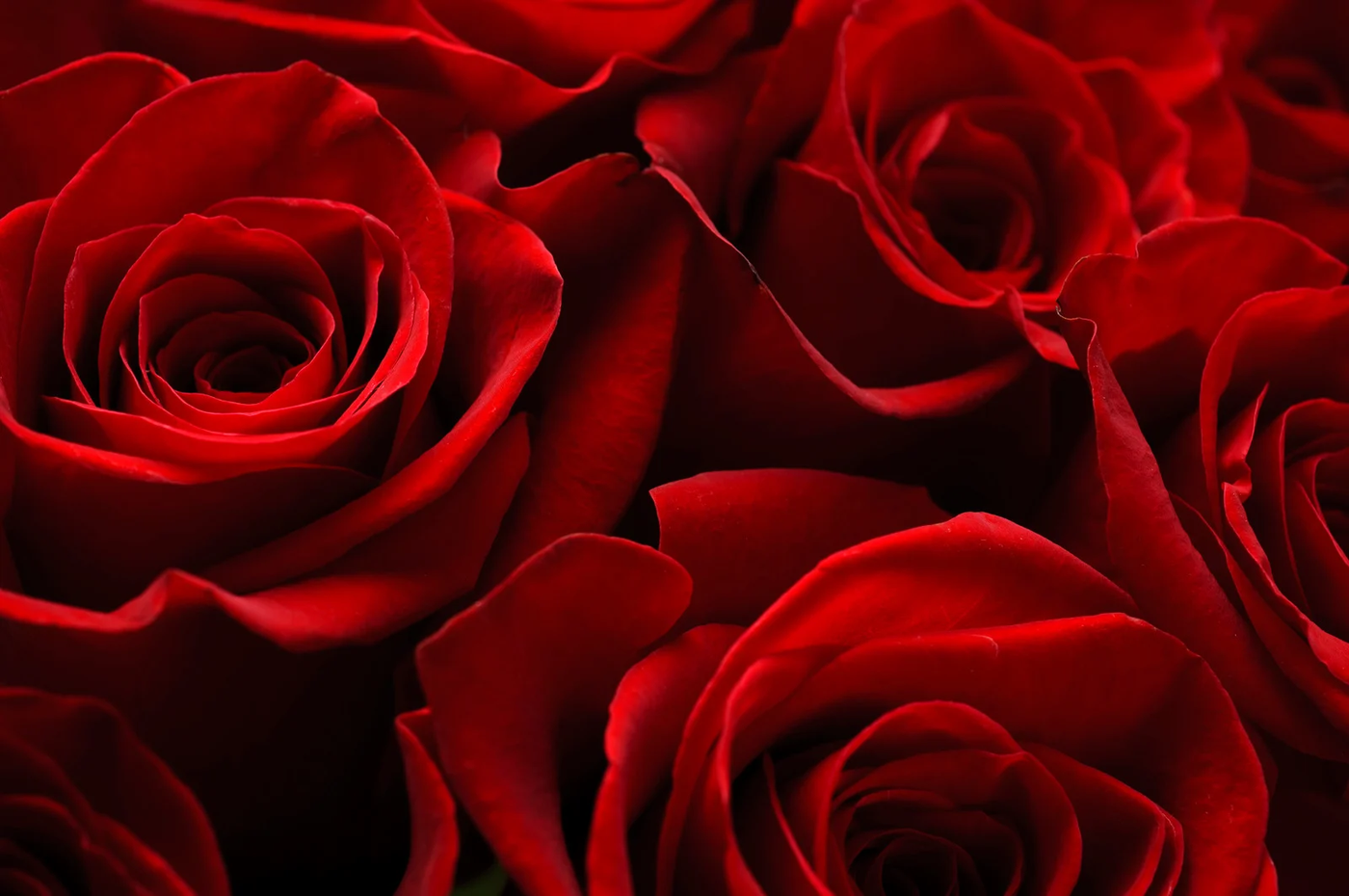 Flowers for Valentine Day