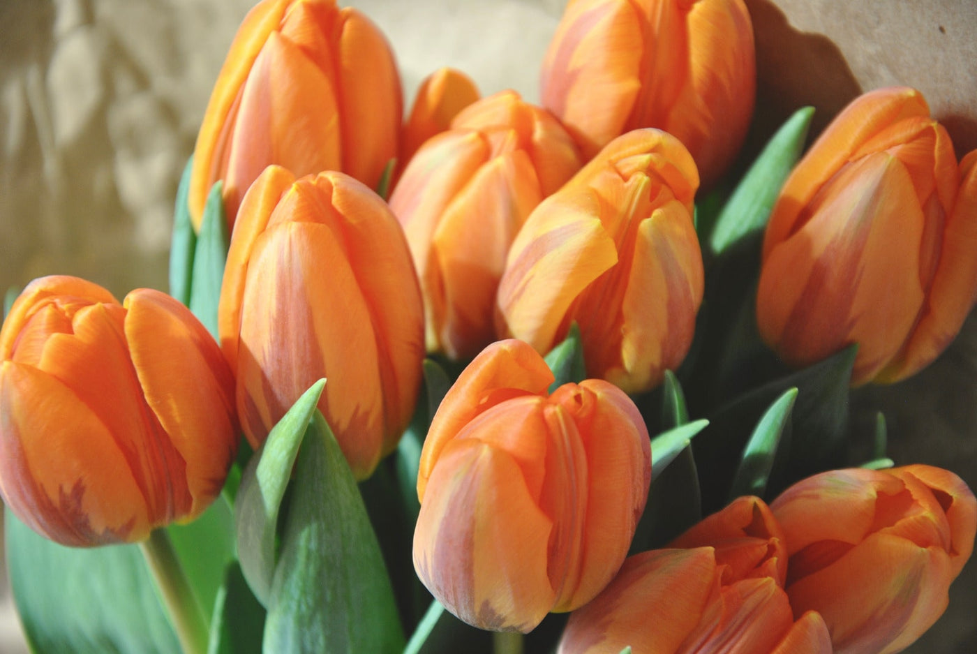 Tulip Flower Bouquet