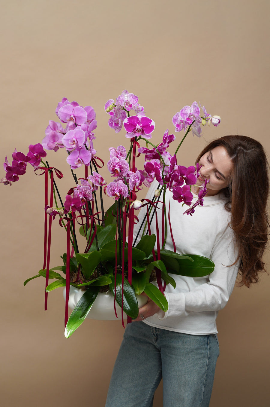 11 Pink Phalaenopsis Orchids
