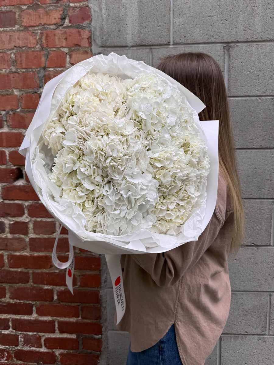 Bouquet - White Fluff - premium hydrangeas