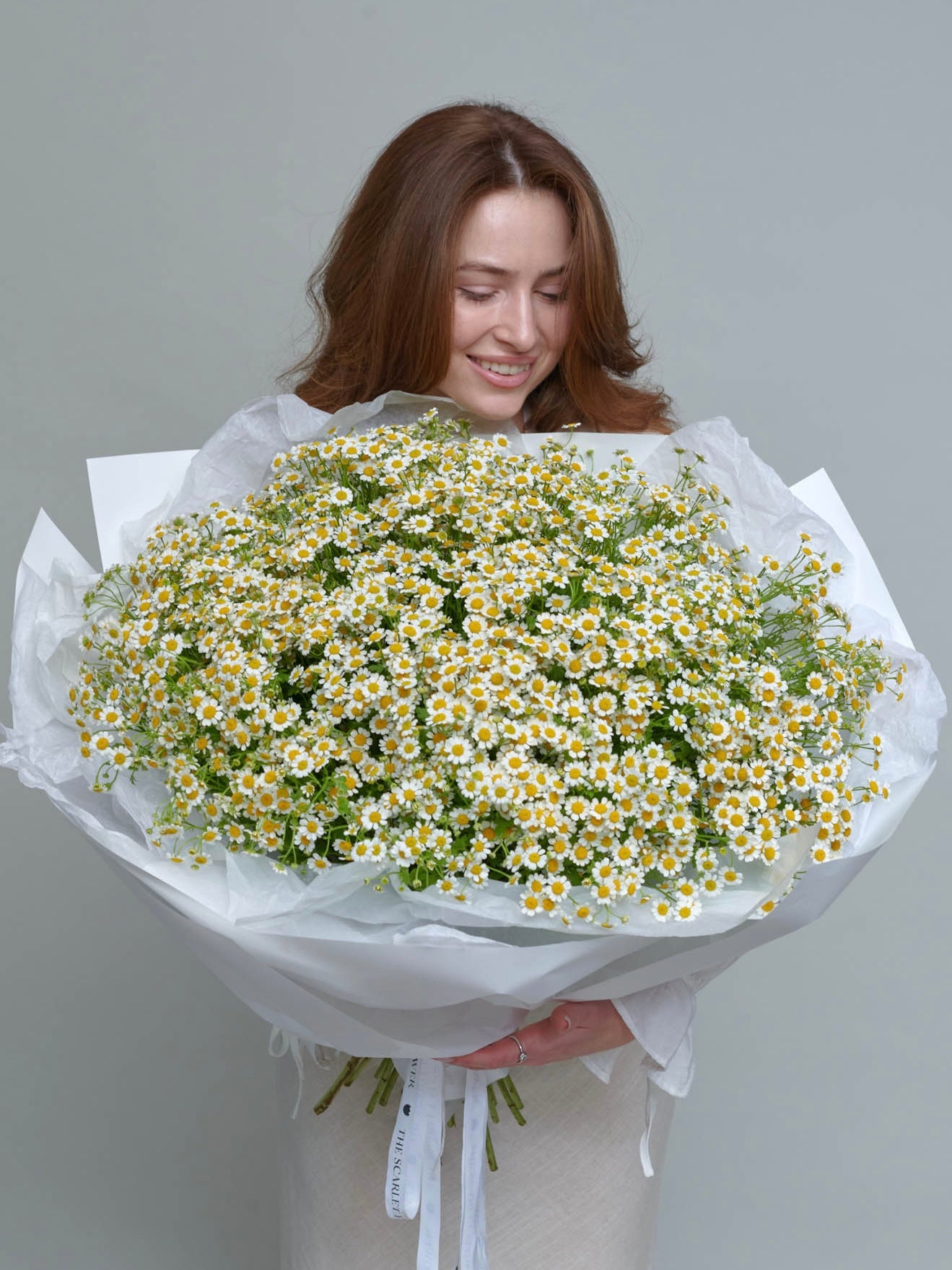 Daisy Dreams - Bouquet of Chamomile