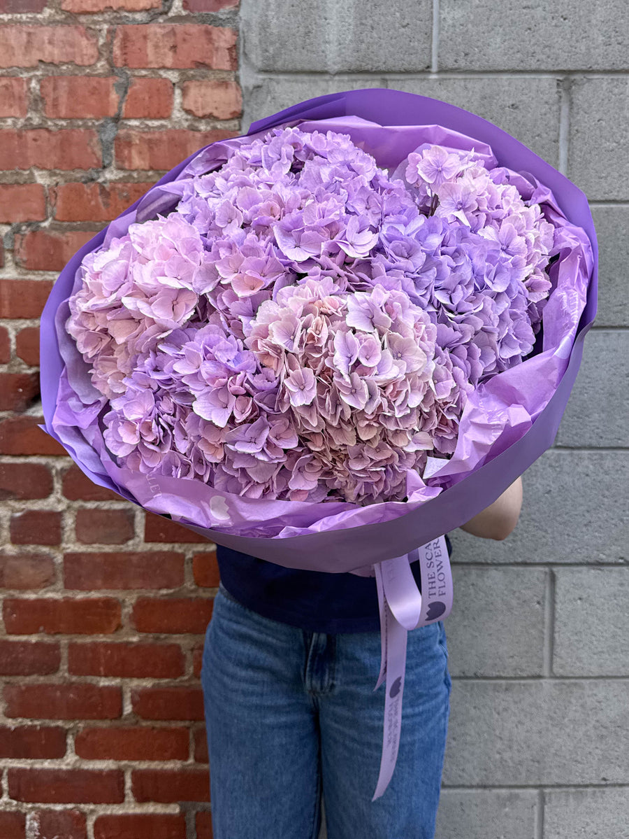 Bouquet - Purple Fluff - premium hydrangeas