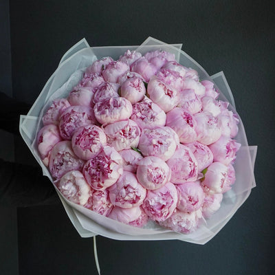 Pillow Talk - bouquet of 50 pink peonies