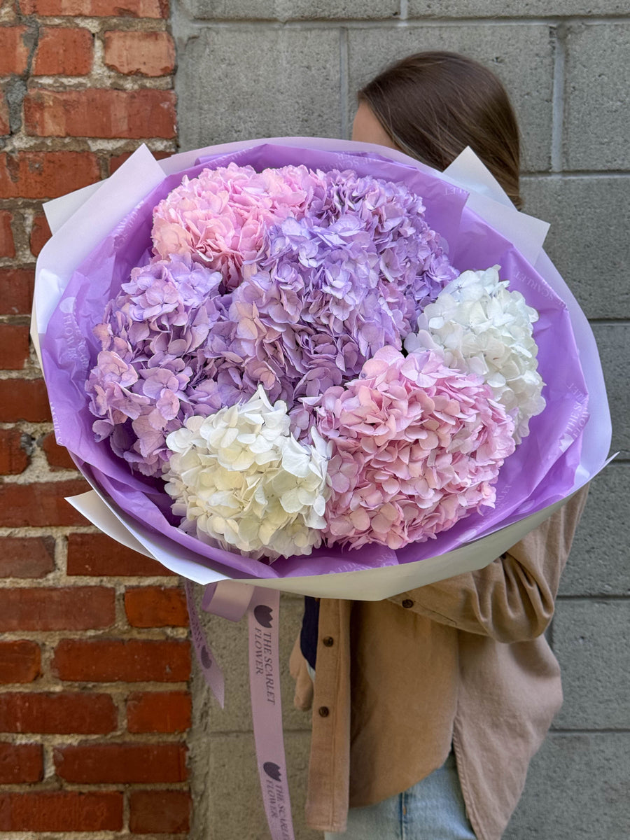 Bouquet - Colorful Fluff - premium hydrangeas