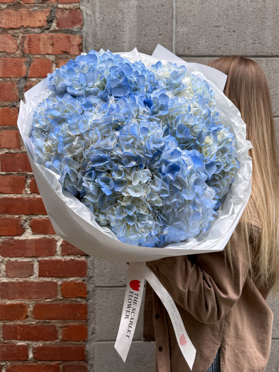 hydrangea succulent bouquet OCEAN BREEZE