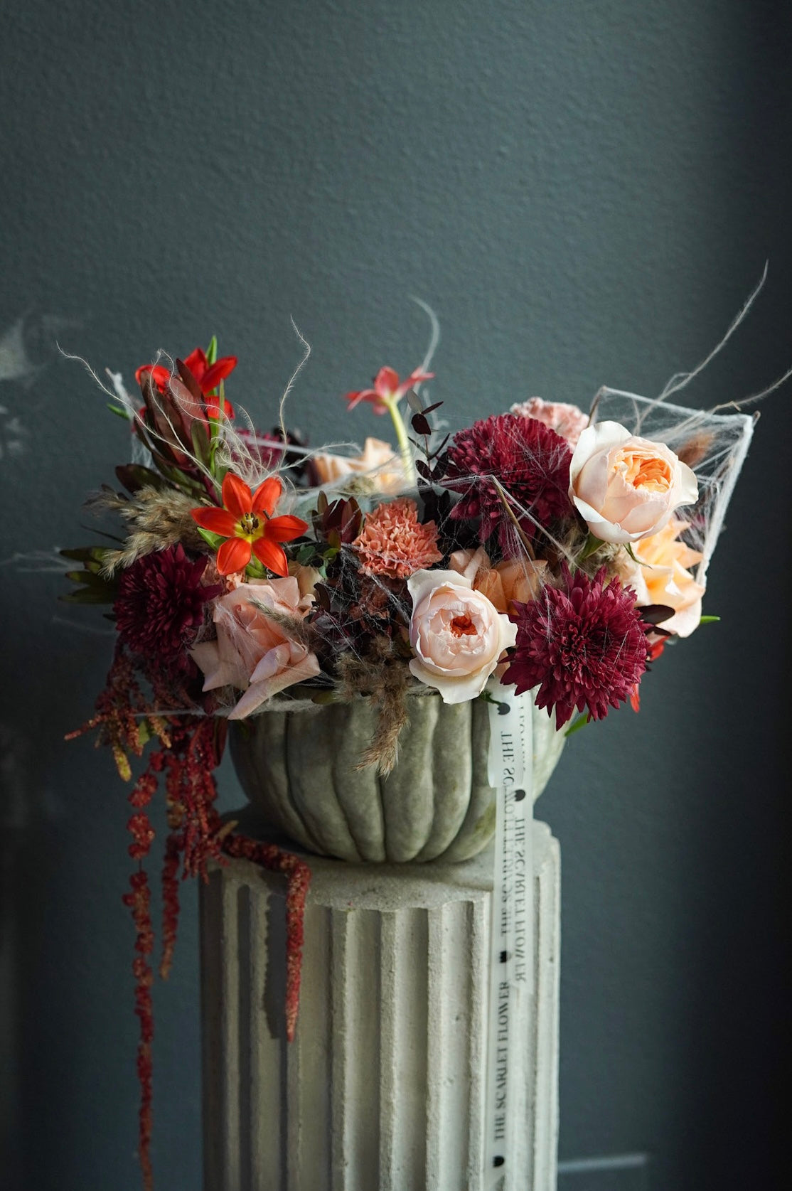 Pumpkin - Midnight Spell - Halloween Flowers