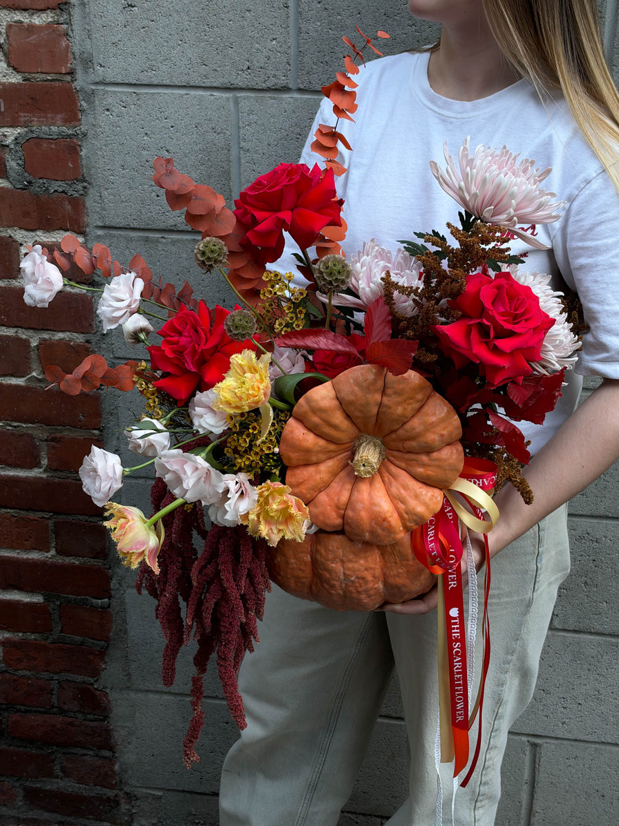 Pumpkin – Ember - Fall Flowers
