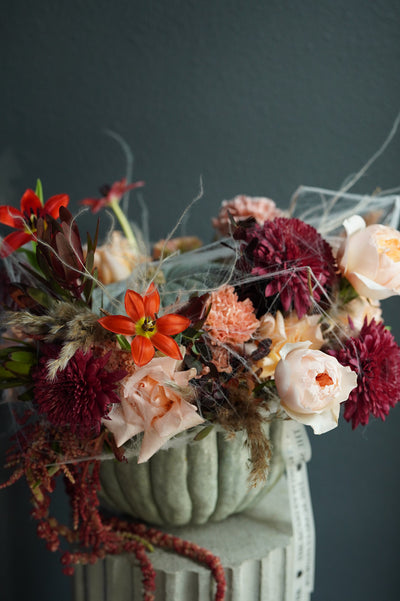 Pumpkin - Midnight Spell - Halloween Flowers