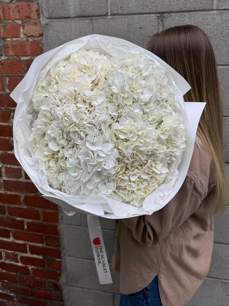 Bouquet - White Fluff - premium hydrangeas