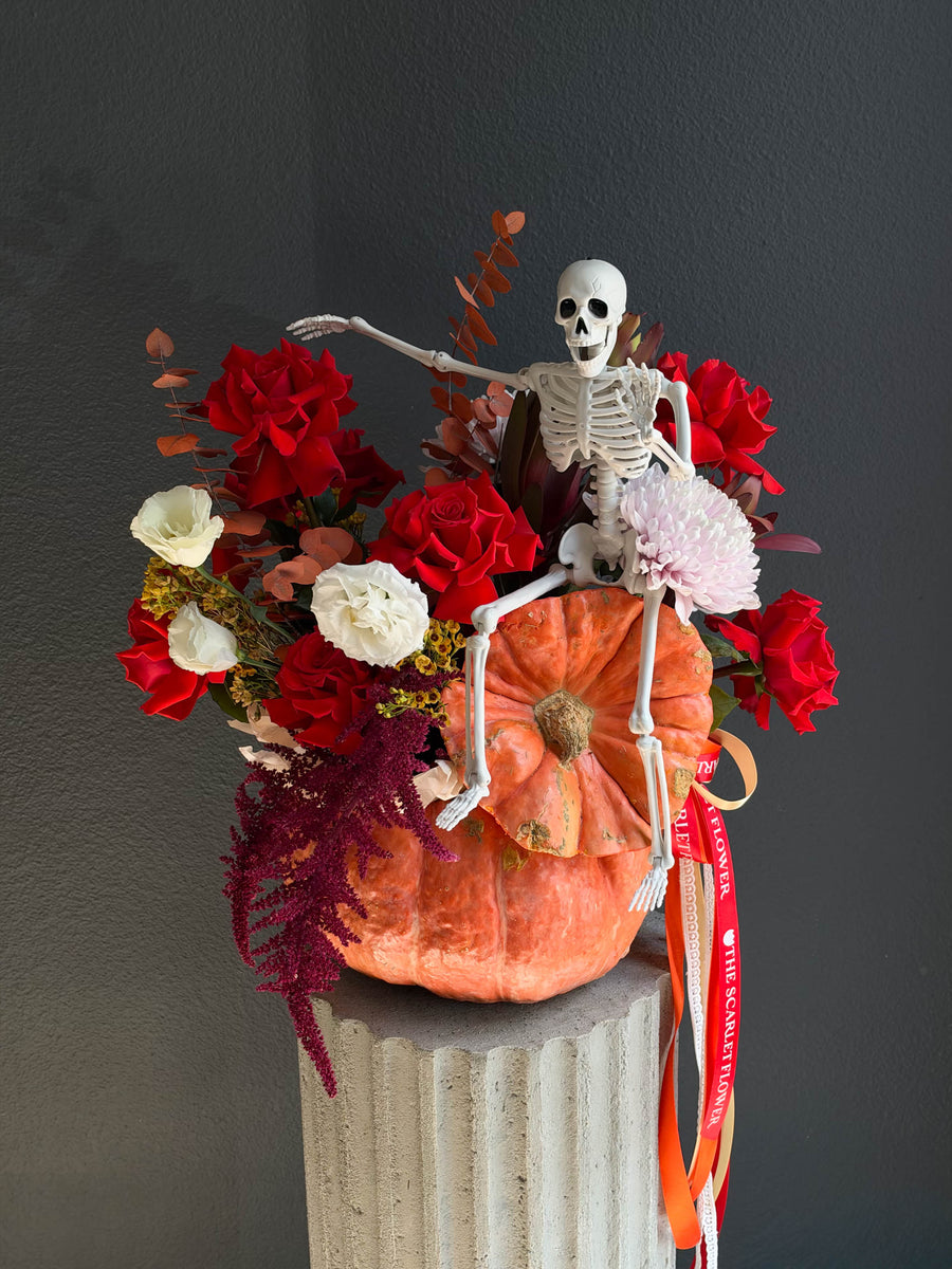 Pumpkin – Ember - Fall Flowers