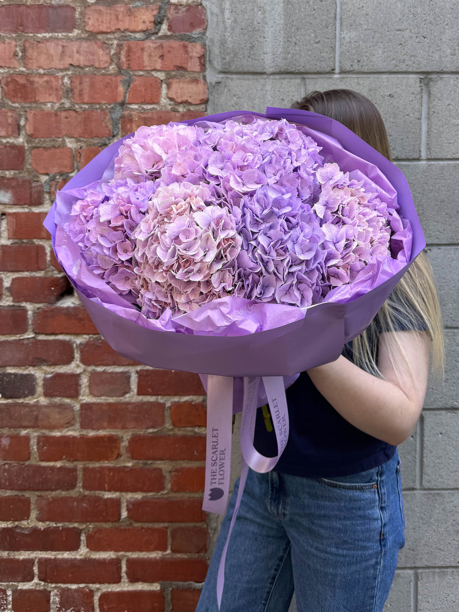 Bouquet - Purple Fluff - premium hydrangeas