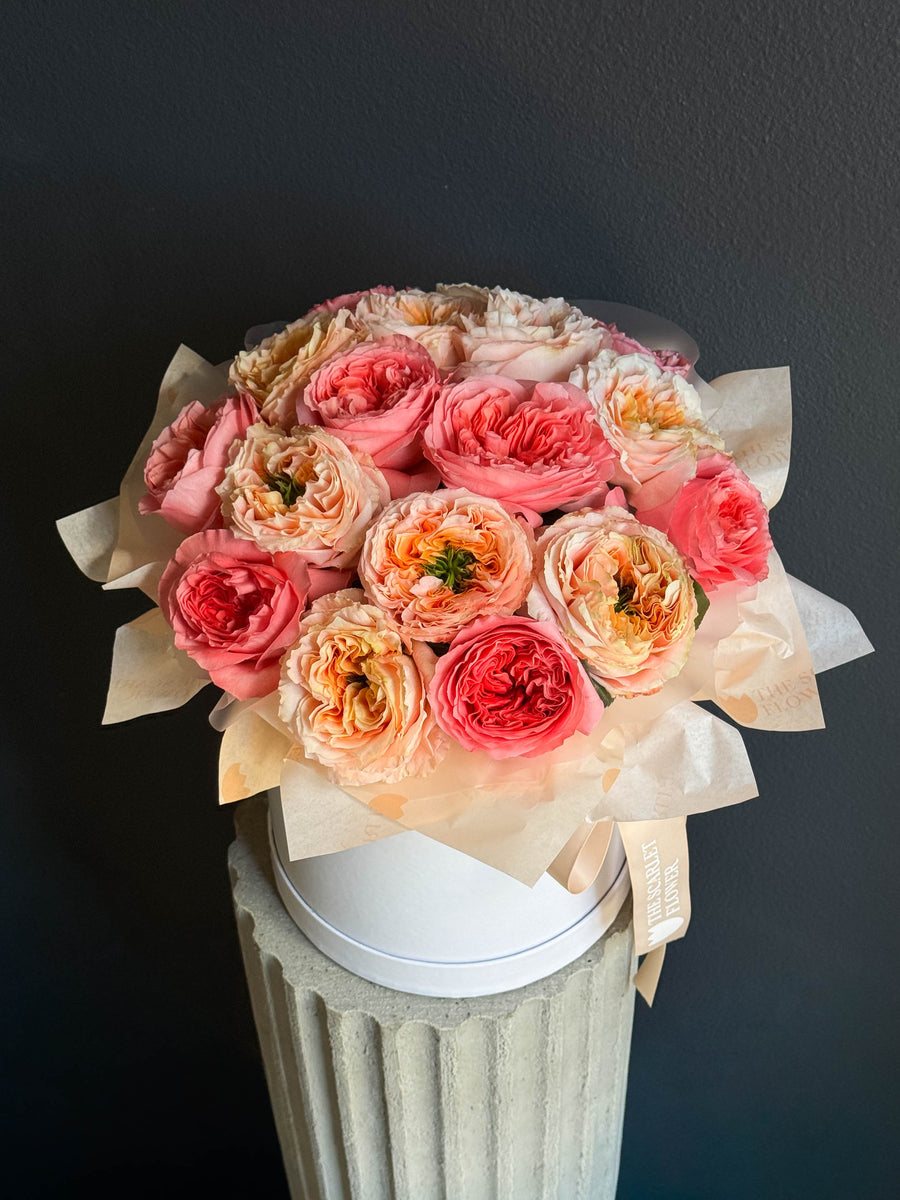 Flower Box - Sorbet - Peony roses