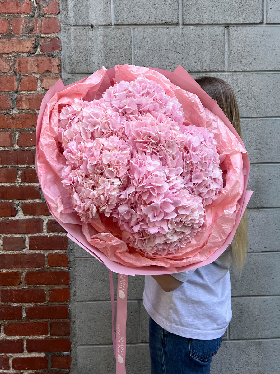 Bouquet - Pink Fluff - premium hydrangeas