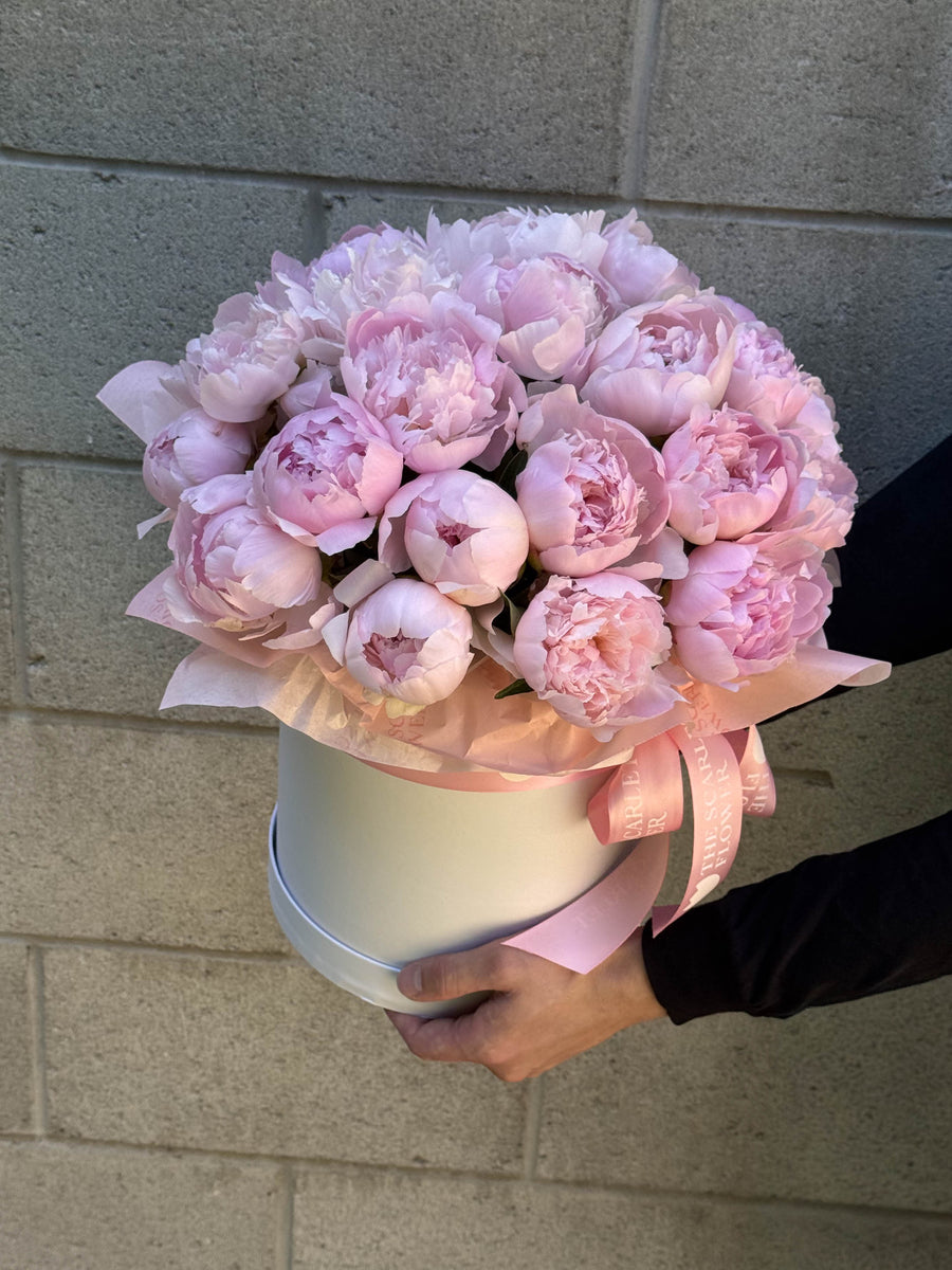 Peonies Mix Box - same day delivery flowers pink peonies
