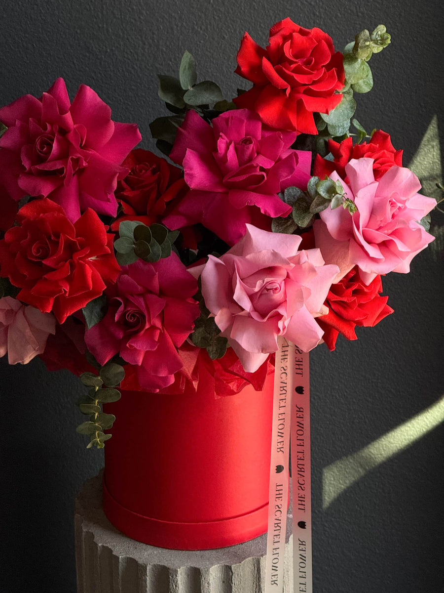 Flower Box - Crimson Kiss - French Roses