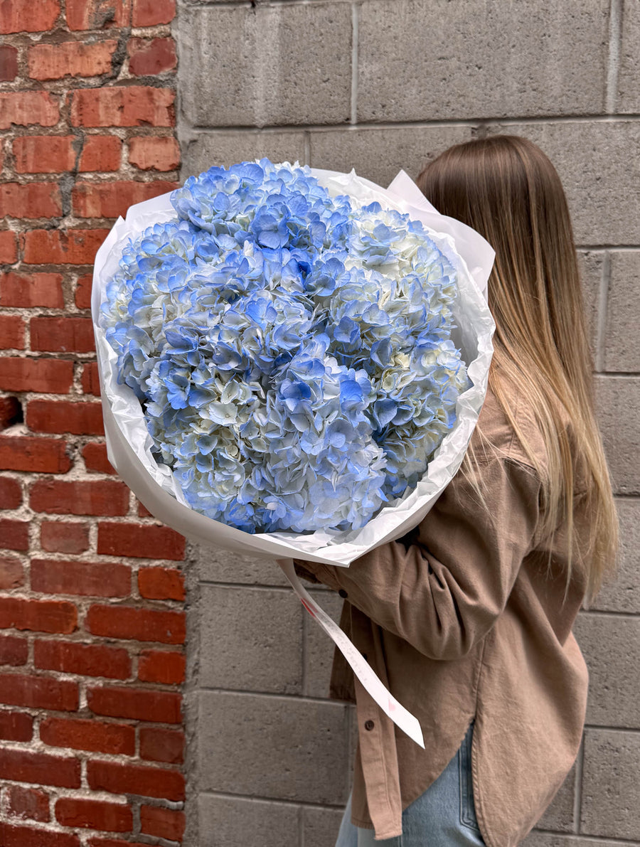 Bouquet - Blue Fluff - premium hydrangeas