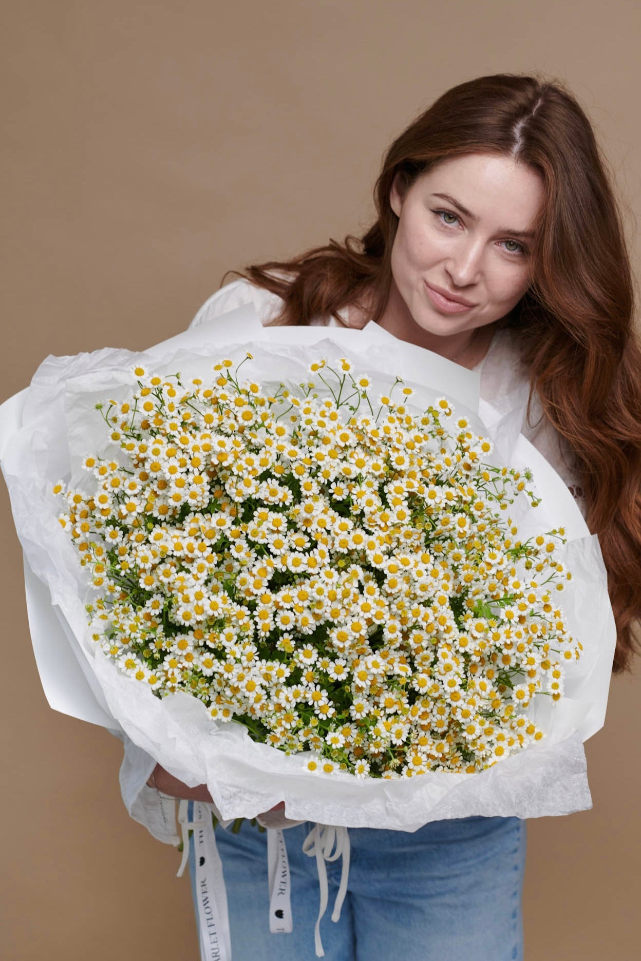 Daisy Dreams - Bouquet of Chamomile