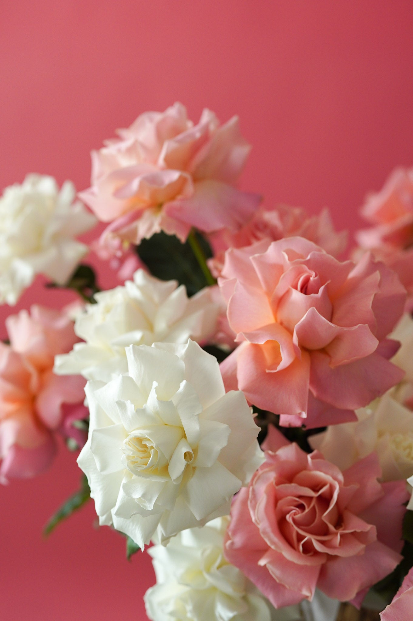 Basket - Peachy - French Roses