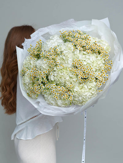 Daisy Cloud - Bouquet of Hydrangeas and Chamomile