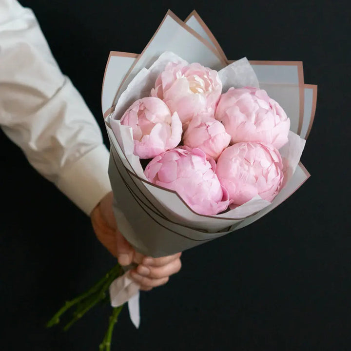 ✳︎peony✳︎ WHOPPER - Closed Blush Pink Peonies 24 pcs – THE SCARLET FLOWER
