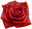 The Scarlet Flower logo