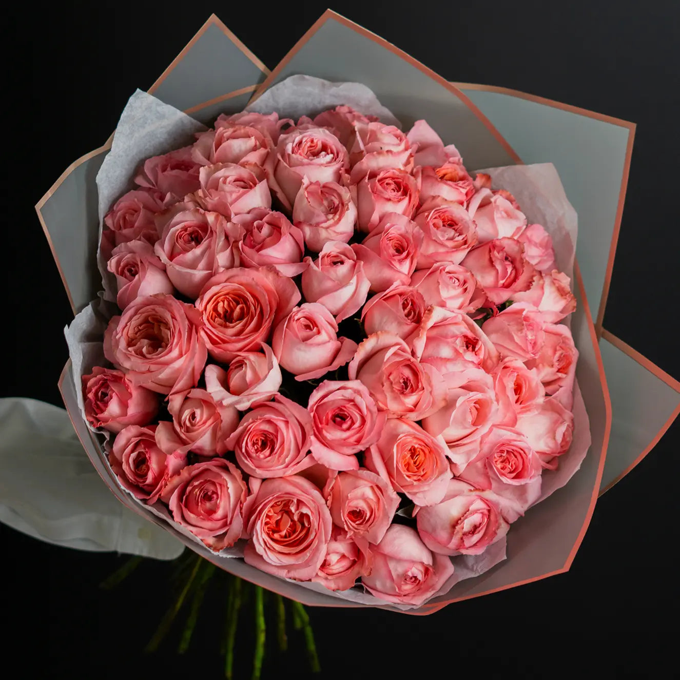 XPRESSION - Pink Xpression Roses 50 pcs – THE SCARLET FLOWER