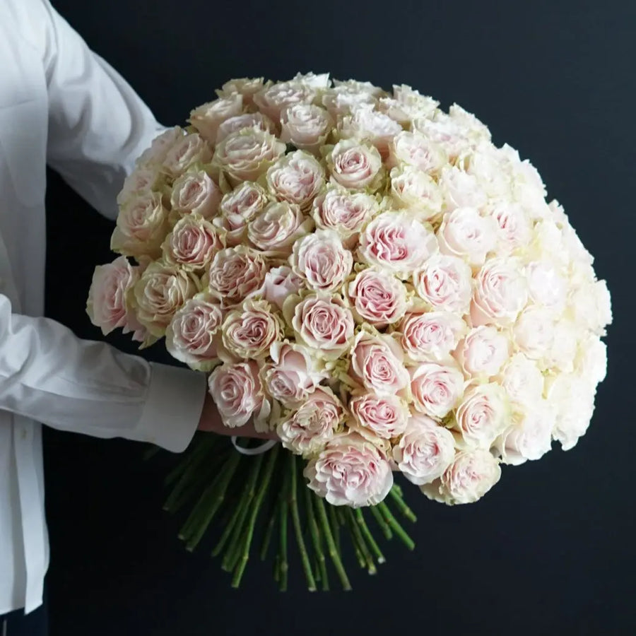 FREE MONDIAL ROSE 279.00 - THE SCARLET FLOWER