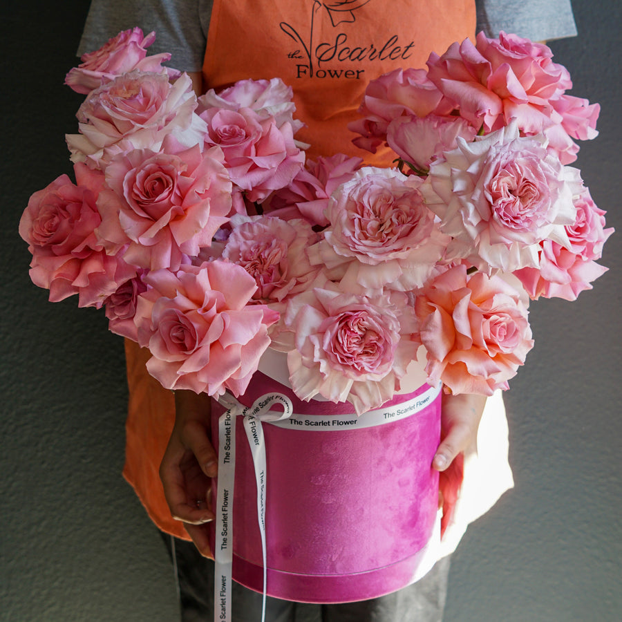Flower Box Tutu - pink o’hara, miss piggy reflexed french roses