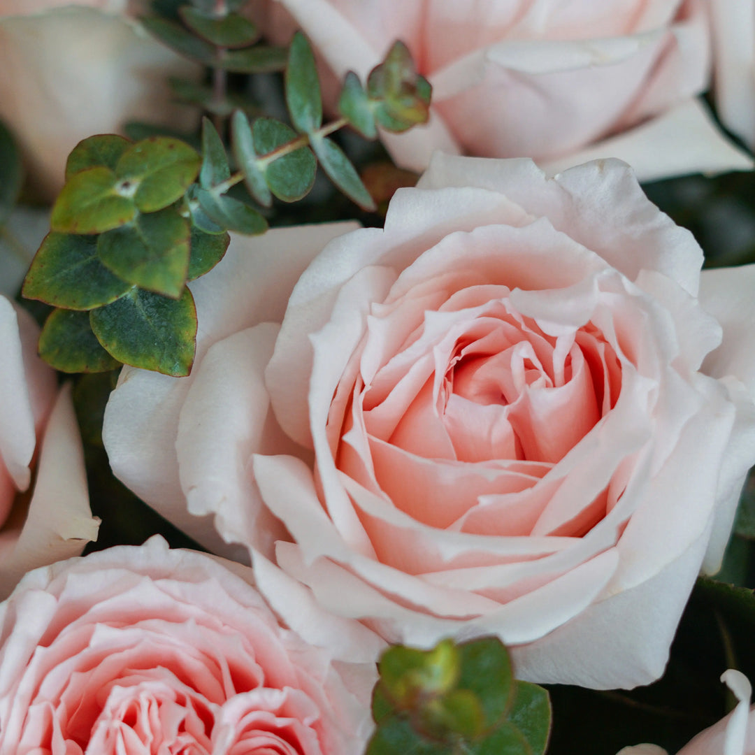Bouquet Princess Hitomi - garden rose – THE SCARLET FLOWER
