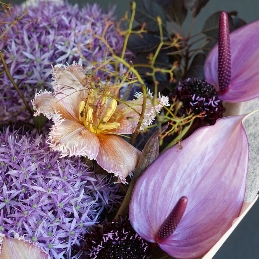 Bouquet Plum and Peach - allium, tulip, anthurium, rose